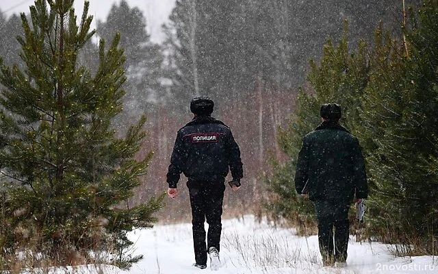 В Подмосковье рабочий нашел гранатомет ВСУ, когда пошел в лес справить нужду — Новости