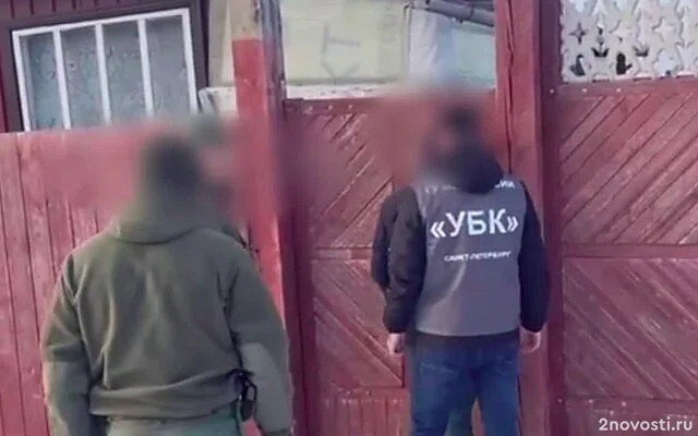 В Туле задержали пособников украинских телефонных мошенников — Новости