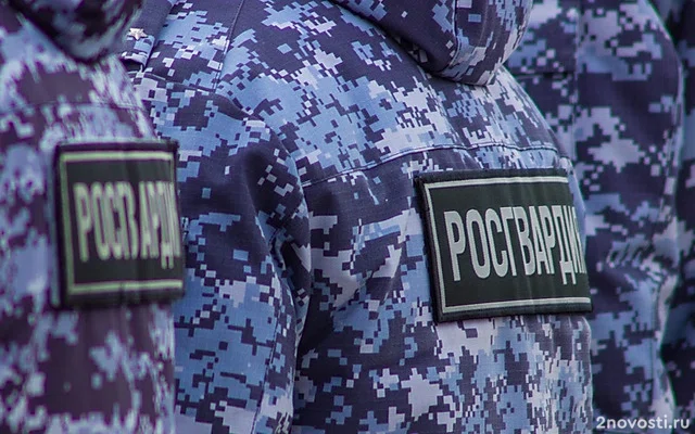 В Туле задержали пособников украинских телефонных мошенников — Новости