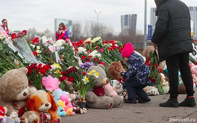 СК: теракт в «Крокусе» был организован спецслужбами недружественного государства — Новости