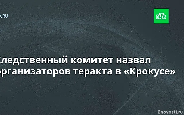 СК: теракт в «Крокусе» был организован спецслужбами недружественного государства — Новости