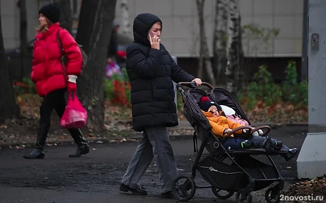 Получившую 4 миллиона рублей на жилье под Москвой мигрантку заподозрили в обмане — Новости