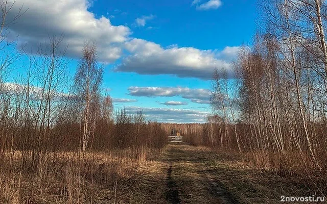 Грандиозную миграцию 30 тысяч сайгаков сняли в заказнике в Астраханской области — Новости