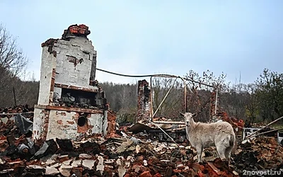 Предварительный ущерб АПК от атак ВСУ в Курской области составил 110 млрд рублей — Новости