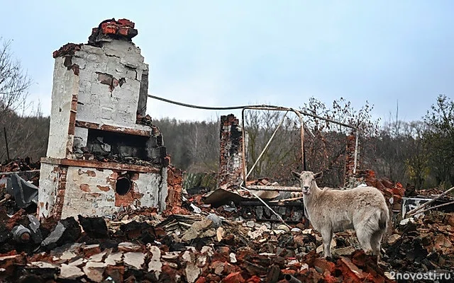 Предварительный ущерб АПК от атак ВСУ в Курской области составил 110 млрд рублей — Новости