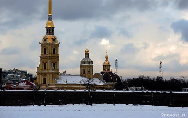 Детского тренера ушу из Петербурга задержали за совращение 11-летней девочки — Новости