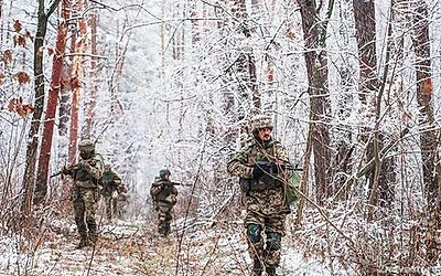 ВСУ за сутки потеряли более 210 военных на курском направлении — Новости