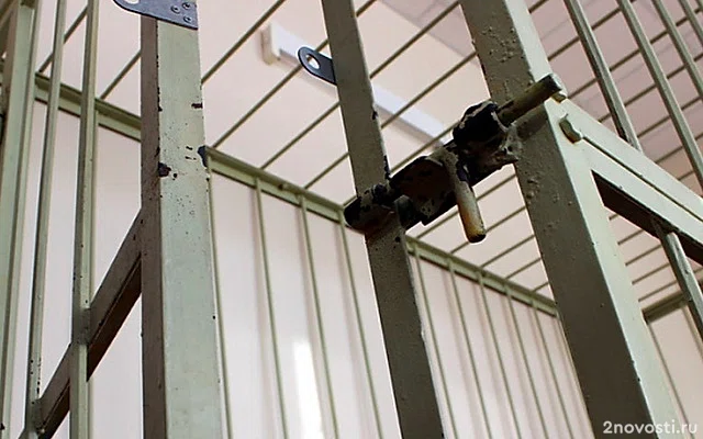 Жителя Твери задержали по подозрению в убийстве 13-летней девочки — Новости