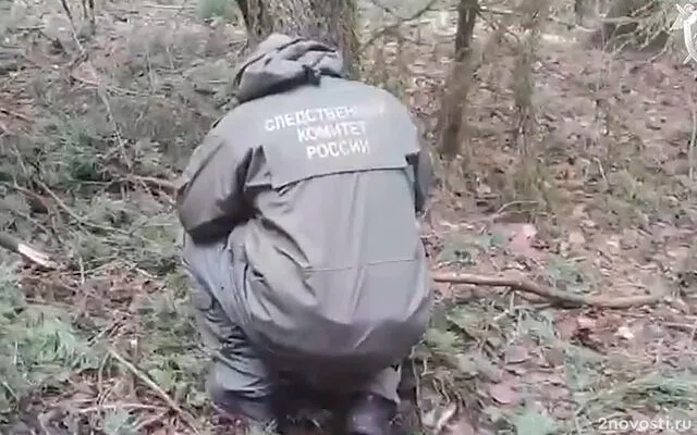 Жителя Твери задержали по подозрению в убийстве 13-летней девочки — Новости
