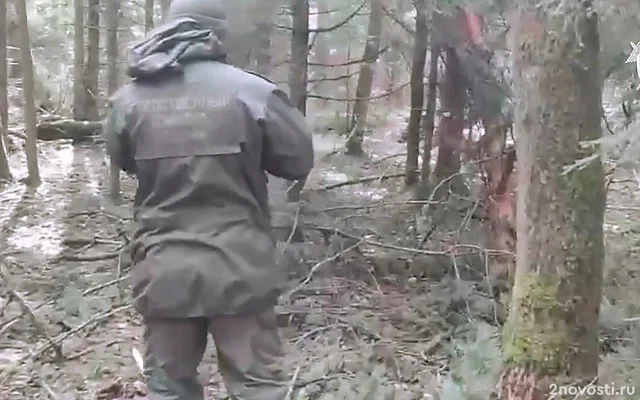 Жителя Твери задержали по подозрению в убийстве 13-летней девочки — Новости