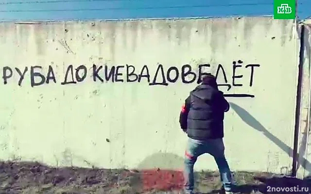 Блогер Апачев предложил помощь в восстановлении Курской области — Новости