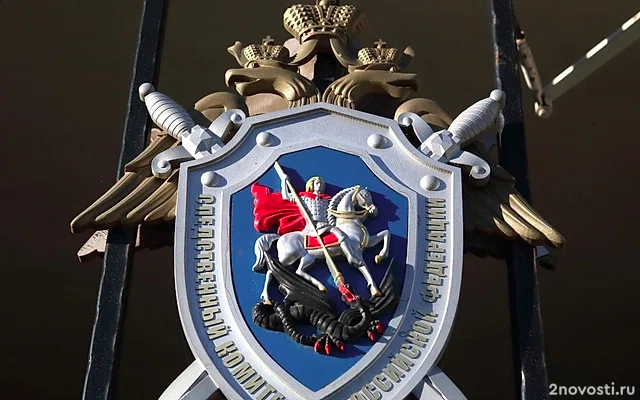 Жителя Твери задержали по подозрению в убийстве 13-летней девочки — Новости