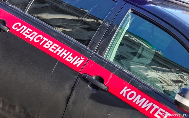 Мужчину с расчлененной старушкой в продуктовой тележке задержали в Петербурге — Новости