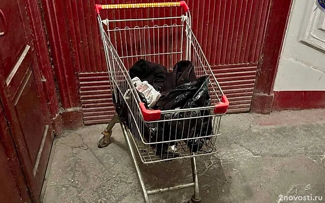 Мужчину с расчлененной старушкой в продуктовой тележке задержали в Петербурге — Новости
