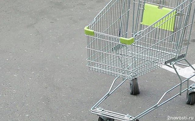 Мужчину с расчлененной старушкой в продуктовой тележке задержали в Петербурге — Новости