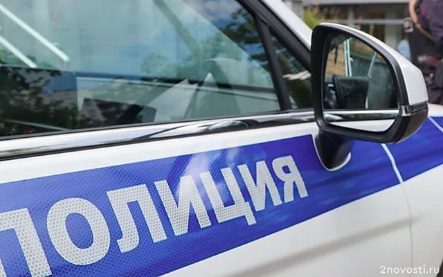 Жертвой предполагаемого расчленителя в Петербурге могла стать хозяйка квартиры — Новости