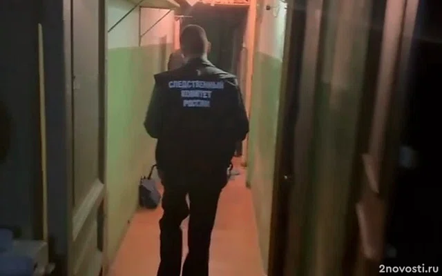 Жертвой предполагаемого расчленителя в Петербурге могла стать хозяйка квартиры — Новости