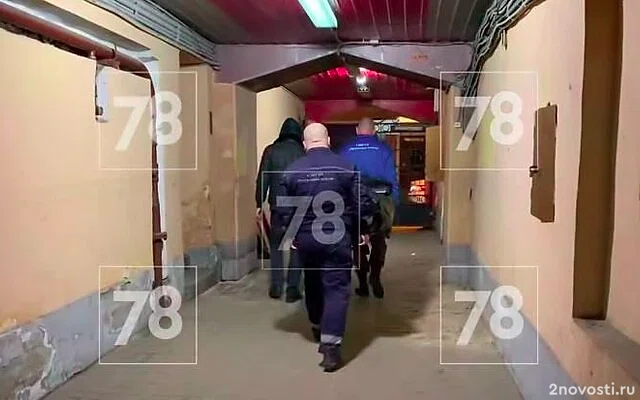 Жертвой предполагаемого расчленителя в Петербурге могла стать хозяйка квартиры — Новости