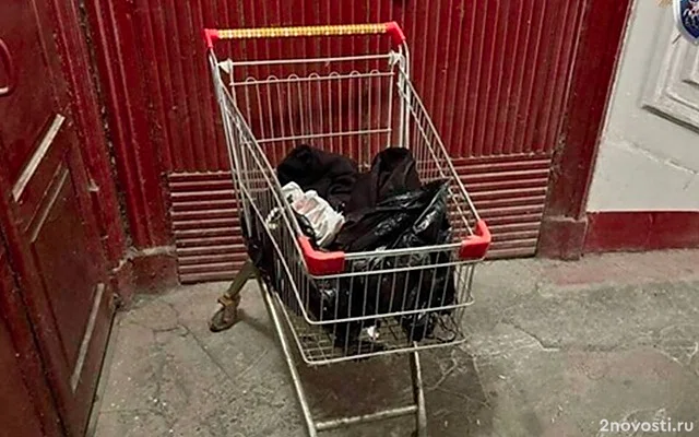 Жертвой предполагаемого расчленителя в Петербурге могла стать хозяйка квартиры — Новости
