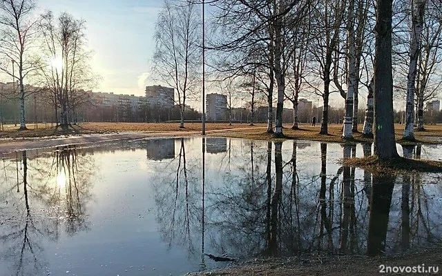 Рекорд тепла побит в Петербурге — Новости