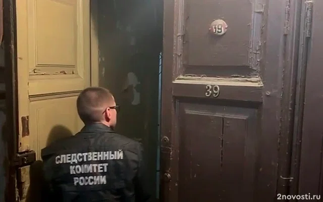 Жертвой предполагаемого расчленителя в Петербурге могла стать хозяйка квартиры — Новости