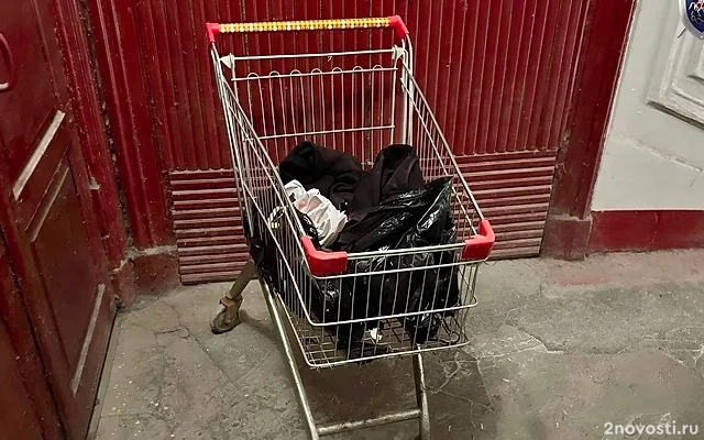 Жертвой предполагаемого расчленителя в Петербурге могла стать хозяйка квартиры — Новости