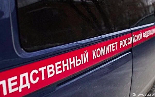 Жертвой предполагаемого расчленителя в Петербурге могла стать хозяйка квартиры — Новости