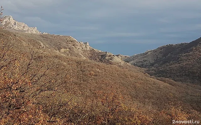 На южном берегу Крыма зафиксировали два землетрясения и шесть слабых афтершоков — Новости