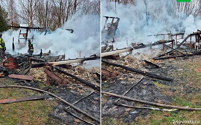 В Химках женщина и двое ее детей погибли при пожаре в частном доме — Новости