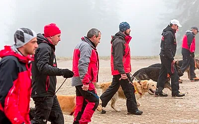 РКК помог найти более 1,4 тыс. человек, пропавших в Курской области — Новости