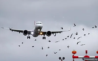 Mash: Самолет Turkish Airlines приготовился к посадке в Москве из-за поломки — Новости