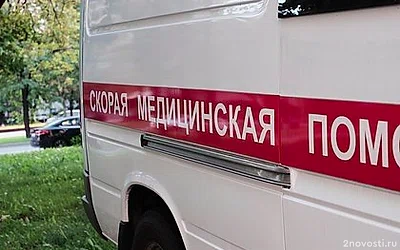 В Омске ветеран Афганистана Гайдук получил смертельный удар веткой — Новости