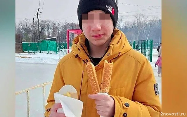 Напавшему на учеников нижегородской школы №117 подростку продлен домашним арест — Новости