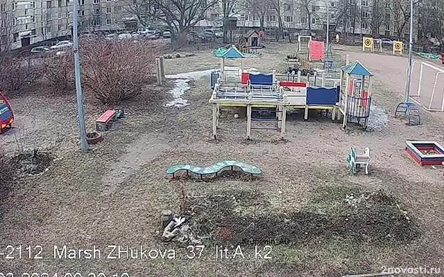 В Петербурге установят 1100 камер для наблюдения за детскими площадками — Новости