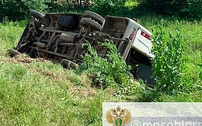 В Подмосковье 15 человек пострадали при опрокидывании микроавтобуса — Новости