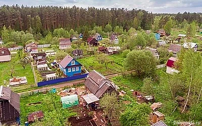Садовод Воронова: Металлические дуги на даче помогут защитить урожай от града — Новости