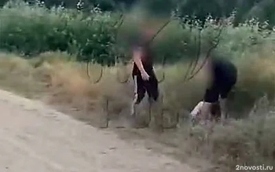 На Кубани подростка избили из-за появившихся в сети фото его бывшей девушки — Новости