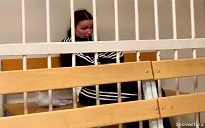 Иркутский СК сообщил об аресте блогерши за публичное оскорбление участников СВО — Новости