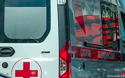 В Новосибирске в теле ребенка нашли полутораметровую струну от катетера — Новости