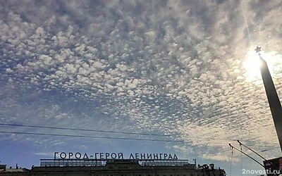 Рекордная жара ожидается в Петербурге на этой неделе — Новости