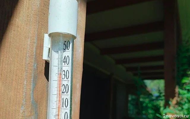 Знойная жара до +30 градусов и грозовые дожди ожидаются в Петербурге — Новости