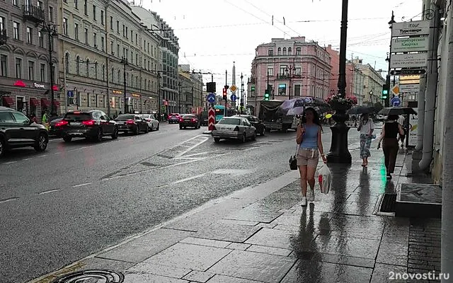 Знойная жара до +30 градусов и грозовые дожди ожидаются в Петербурге — Новости