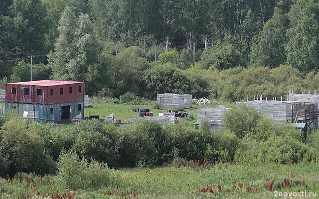 В Новосибирской области во время свадебных гуляний погиб человек — Новости
