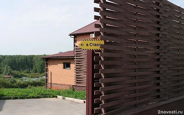 В Новосибирской области во время свадебных гуляний погиб человек — Новости