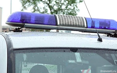 В Петербурге ревнивец ранил ножом случайного прохожего, вмешавшегося в ссору — Новости