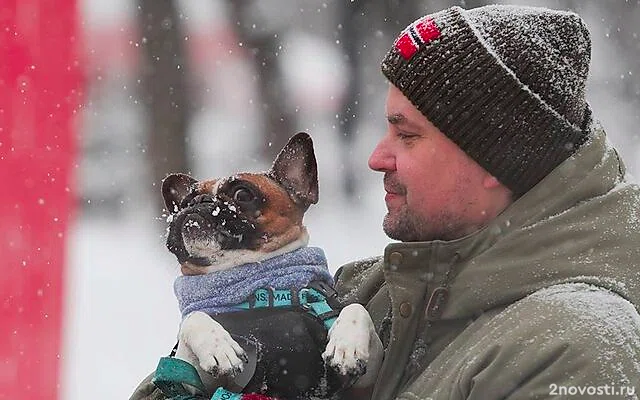 Синоптик Позднякова: В выходные в Москве ожидается потепление &mdash; Новости