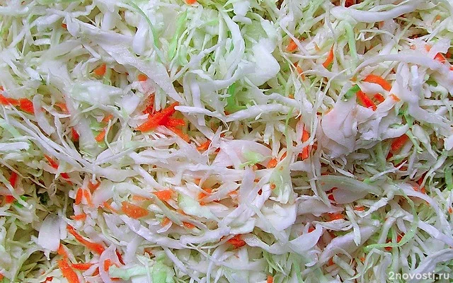 РИА Новости: квашеная капуста укрепляет иммунитет &mdash; Новости