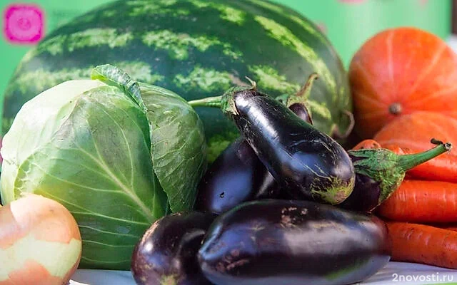 РИА Новости: квашеная капуста укрепляет иммунитет &mdash; Новости