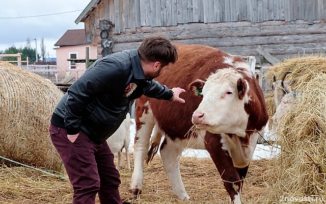 Кировская область вошла в десятку лидеров по производству молока в РФ &mdash; Новости