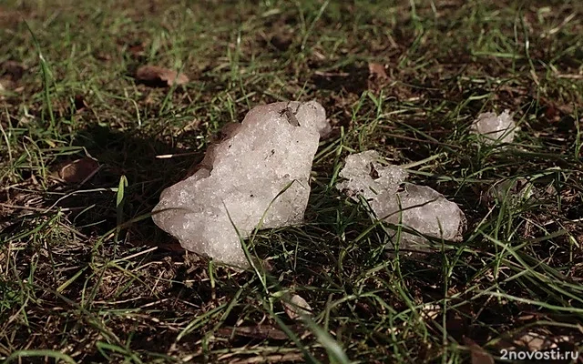 Синоптик Позднякова: Весна в Москве начнется не раньше третьей декады марта &mdash; Новости